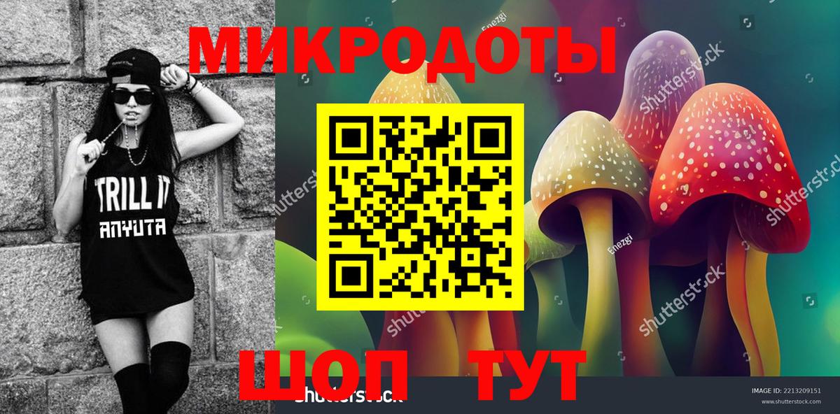 Рассказово  Галлюциногенные грибы Magic Shrooms  Вход с VPN 